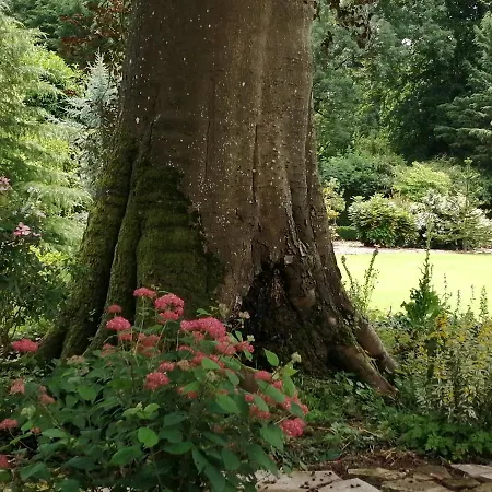 E André Le Domaine Des Jardins De