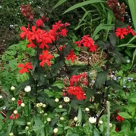 E Andre Le Domaine Des Jardins De Bracquetuit