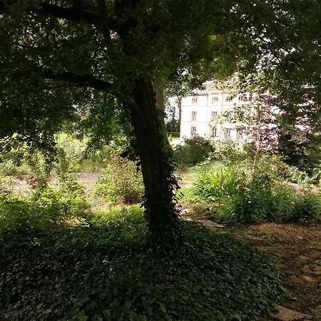 E André Le Domaine Des Jardins De Bed and breakfast Bracquetuit