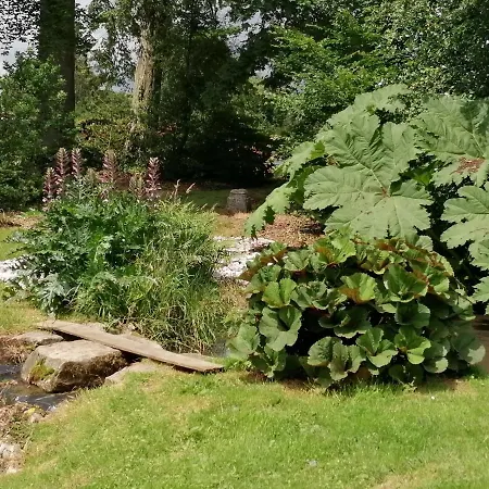 E Andre Le Domaine Des Jardins De Bracquetuit