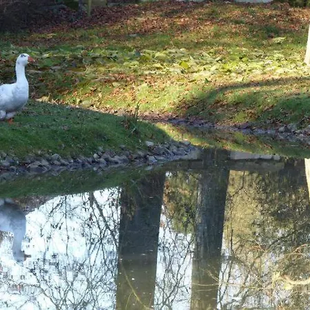 Bed and breakfast E André Le Domaine Des Jardins De